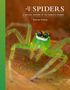 Ximena Nelson: The Lives of Spiders, Buch