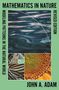 "Mathematics in Nature", "Modeling Patterns in the Natural World", "Revised Edition", "John A. Adam". Geometrische und natürliche Muster., Buch