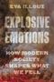 „EXPLORIVE EMOTIONS: HOW MODERN SOCIETY SHAPES WHAT WE FEEL“ steht vor einem Hintergrund aus Rauch und Flammenfarben., Buch