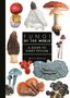 "Fungi of the World: A Guide to Every Phylum" von Britt A. Bunyard. Verschiedene Pilzarten, leuchtende Farben., Buch