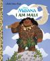 Text: Disney Moana, I Am Maui. Illustration: Ein tätowierter Mann mit lockigem Haar hält einen großen Haken vor blauen Wolken., Buch