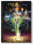 Davide De Angelis: Starman Tarot Journal, Buch