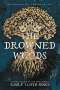 Emily Lloyd-Jones: The Drowned Woods, Buch