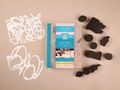 Robyn McClendon: Mixed-Media Stamp, Stencil, and Storybook Set European Scripts, Buch
