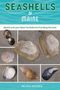 "Seashells of Maine", ist oben im Bild. Darunter: "Identify and Learn About the Shells You Find Along the Coast". Schalenabbildungen., Buch