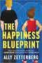 Ally Zetterberg: The Happiness Blueprint, Buch