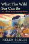 Helen Scales: What the Wild Sea Can Be, Buch