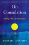 Michael Ignatieff: On Consolation, Buch