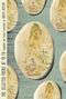 Tu Fu: The Selected Poems of Tu Fu: Expanded and Newly Translated by David Hinton, Buch