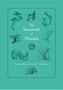 Clinton J Dawes: The Seaweeds of Florida, Buch