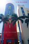 T D Allman: Miami, Buch