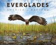 Mac Stone: Everglades, Buch