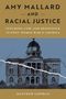 Matthew Lippman: Amy Mallard and Racial Justice, Buch