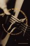 Bill C Malone: Southern Music/American Music, Buch