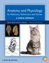 Robin Sturtz: Anatomy and Physiology for Veterinary Technicians and Nurses, Buch