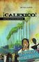 Peter Laufer: Calexico: True Lives of the Borderlands, Buch