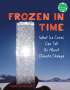 Carmella Van Vleet: Frozen in Time, Buch