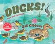 Gail Gibbons: Ducks! (New & Updated), Buch