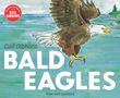Illustration eines Weißkopfseeadlers im Flug über Wasser. Text: "Gail Gibbons, BALD EAGLES, New and Updated."