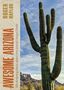 Roger Naylor: Awesome Arizona, Buch