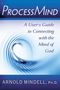 Arnold Mindell: Processmind: A User's Guide to Connecting with the Mind of God, Buch