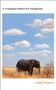 Sophy Roberts: A Training School for Elephants, Buch