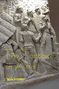 Tony Grey: The Tortoise in Asia, Buch