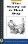 Thomas Bailey Aldrich: The Story of a Bad Boy, Buch