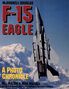 Bill Holder: McDonnell-Douglas F-15 Eagle: A Photo Chronicle, Buch