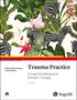 Anna B. Baranowsky: Trauma Practice, Buch