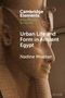Text: "Urban Life and Form in Ancient Egypt, Nadine Moeller." Eine antike ägyptische Statue im Hintergrund., Buch