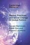 Steven Bernstein: Norms, Practices, and Social Change in Global Politics, Buch