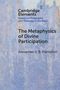 Alexander J. B. Hampton: The Metaphysics of Divine Participation, Buch