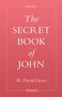 M. David Litwa: The Secret Book of John, Buch