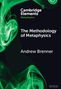 Cambridge Elements, Metaphysics; The Methodology of Metaphysics, Andrew Brenner. Grüner Rauch auf dunklem Hintergrund., Buch