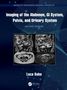 "Imaging of the Abdomen, GI System, Pelvis, and Urinary System, Second Edition, Luca Saba." MRI-Bilder und blauer Hintergrund., Buch