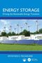 "Energy Storage: Driving the Renewable Energy Transition" steht in großen Buchstaben. Windräder und Solarpanels im Hintergrund., Buch