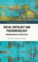 "Social Ontology and Phenomenology: Methodological Perspectives", Herausgeber Thomas J. Spiegel. Abstrakte blaue und gelbe Malerei., Buch