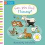 Campbell Books: Can you Find Mummy?, Buch