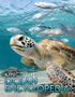 Kingfisher: The Kingfisher Ocean Encyclopedia, Buch