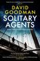 Buchtitel: "DAVID GOODMAN SOLITARY AGENTS". Zwei Personen auf einer Brücke, darüber fliegende Vögel, mit städtischem Hintergrund., Buch