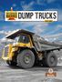 Ryan James: Dump Trucks, Buch