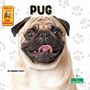 Corinne Fickett: Pug, Buch