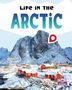 „Life in the Arctic“ in großen Buchstaben, verschneite Berge, rote Häuser, Meer im Vordergrund., Buch