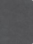 He Reads Truth: CSB He Reads Truth Bible, Smoke Leathertouch, Indexed, Buch