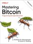 Andreas Antonopoulos: Mastering Bitcoin, Buch