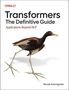 "Transformers: The Definitive Guide. Applications Beyond NLP. Nicole Koenigstein." Illustration eines Vogels mit langen Beinen., Buch