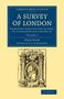John Stow: A Survey of London, Buch