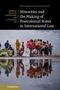 Text: "Minorities and the Making of Postcolonial States in International Law". Menschen spiegeln sich im Wasser., Buch