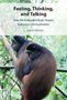 L David Ritchie: Feeling, Thinking, and Talking, Buch